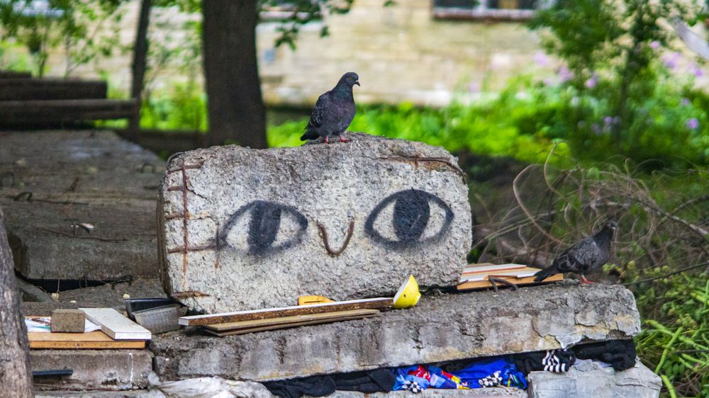 Фотография автора Роман Чернышов