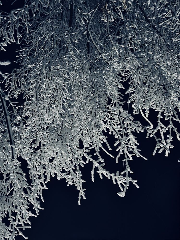 Photograph by Ксения Рыбина