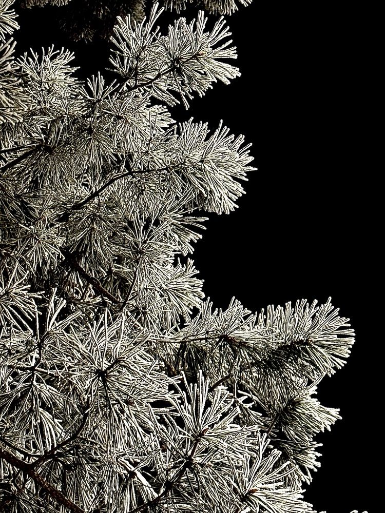 Photograph by Ксения Рыбина