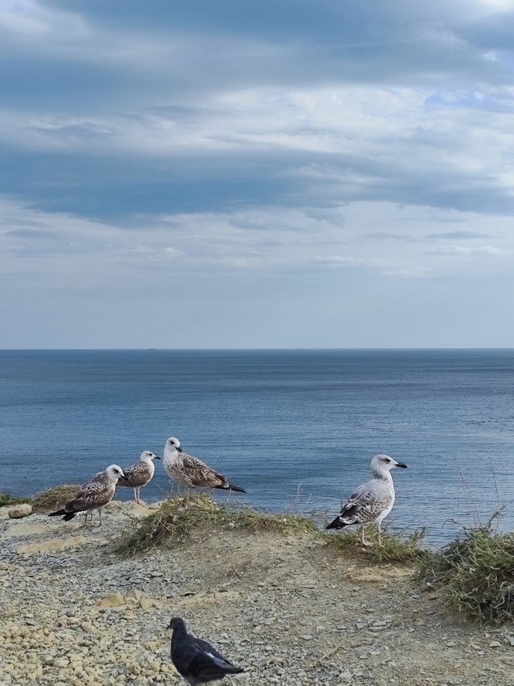 Photograph by Алёна Подгорная