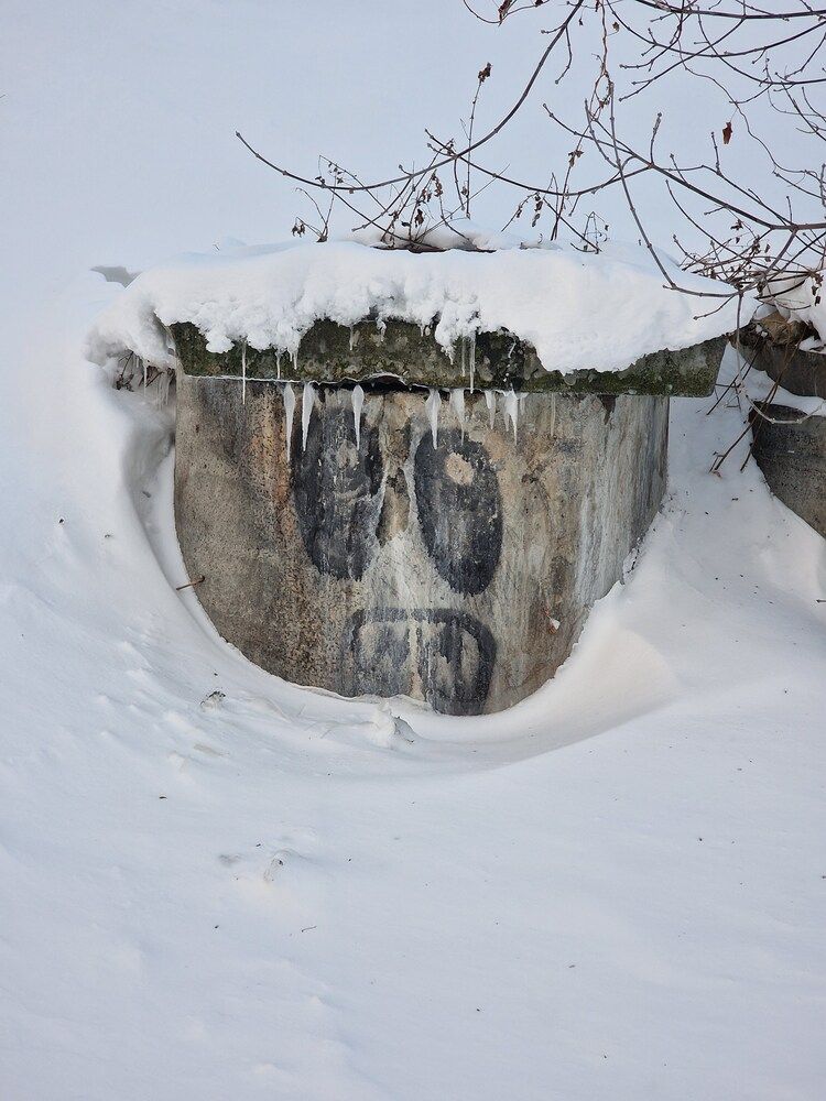 Photograph by Алексей Ворочев