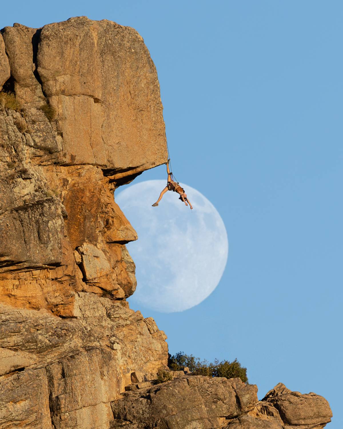 Фотография #13101368