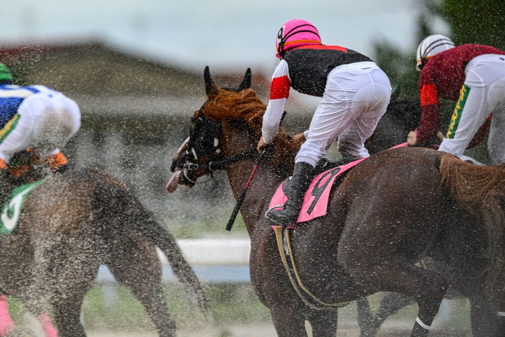 Photograph by Nonnie