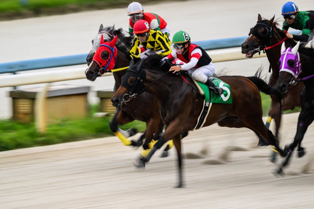 Photograph by Nonnie