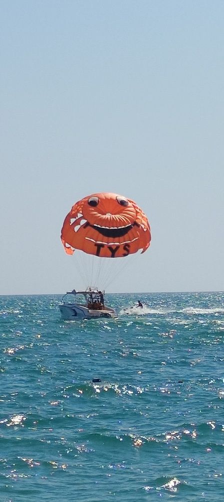 Фотография автора Елена Александрова