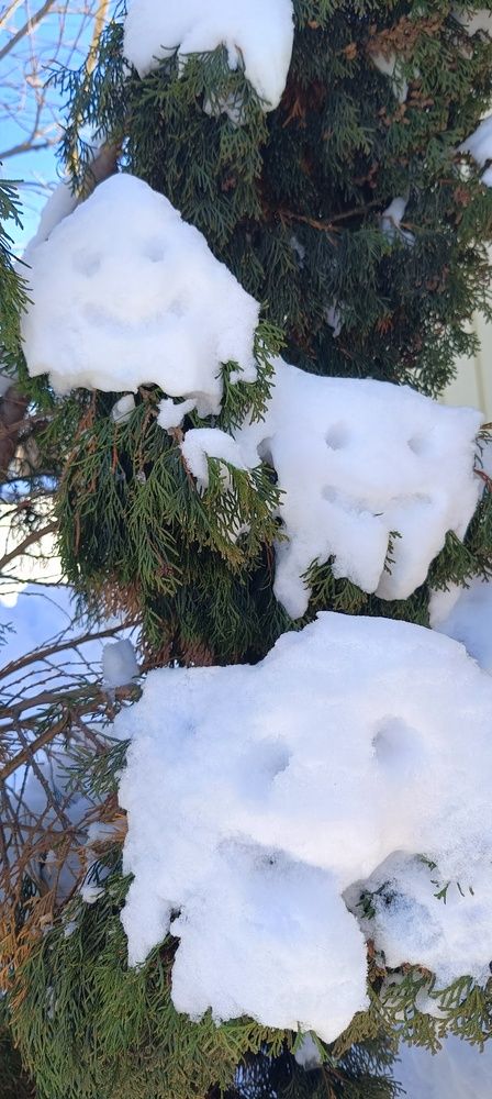 Фотография автора Елена Александрова