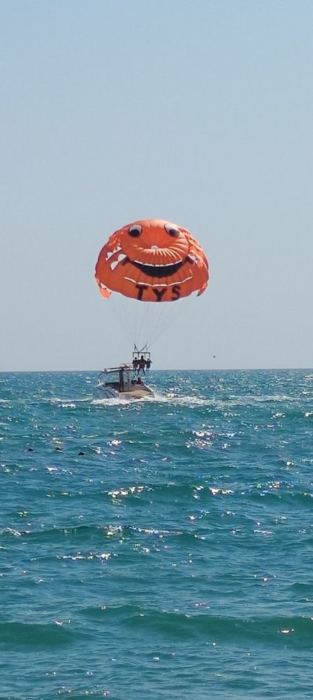 Фотография автора Елена Александрова