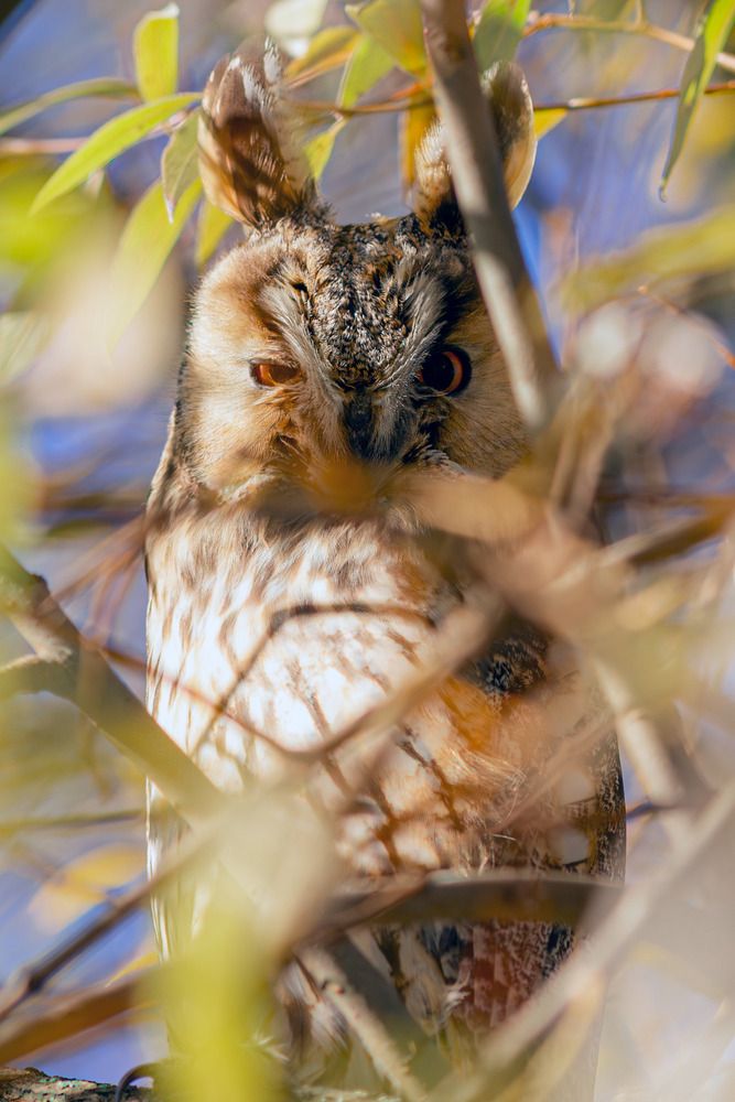 Photograph by Александр Лис