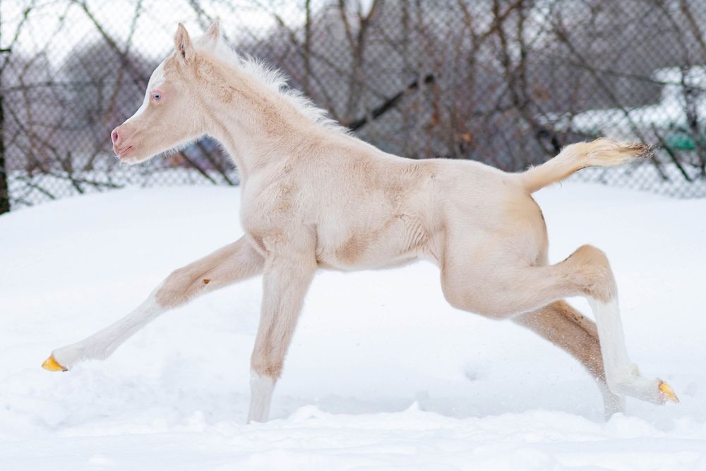 Photograph by Екатерина Эйрих