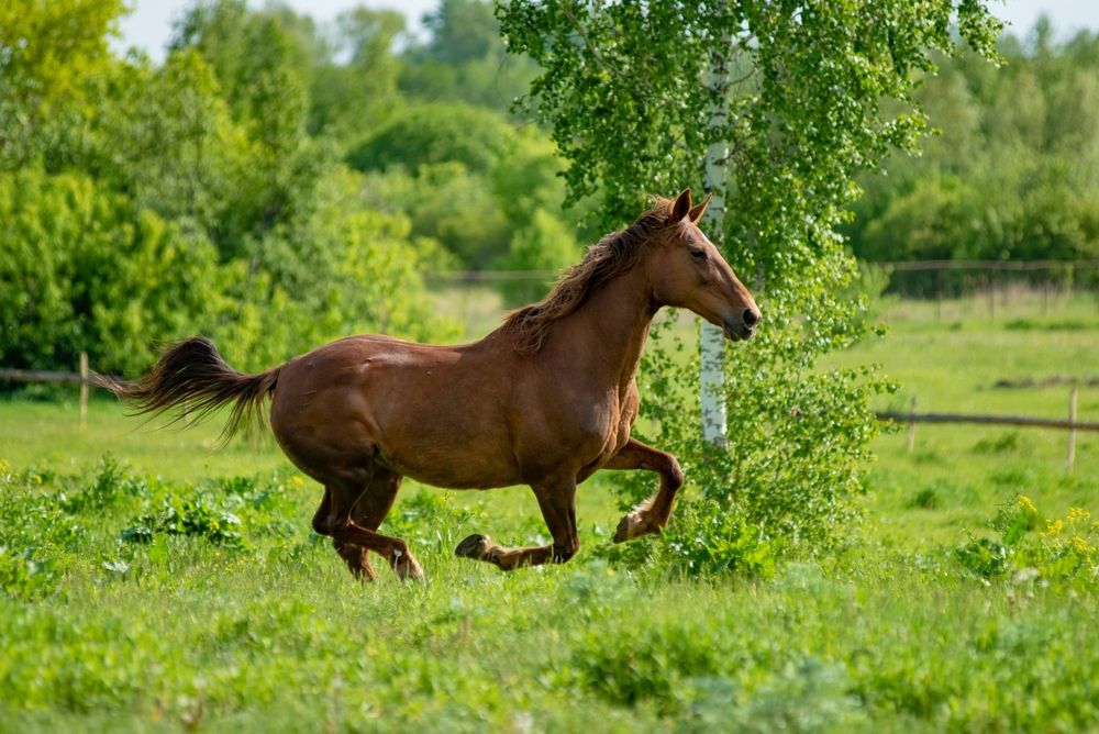 Photograph by Екатерина Эйрих