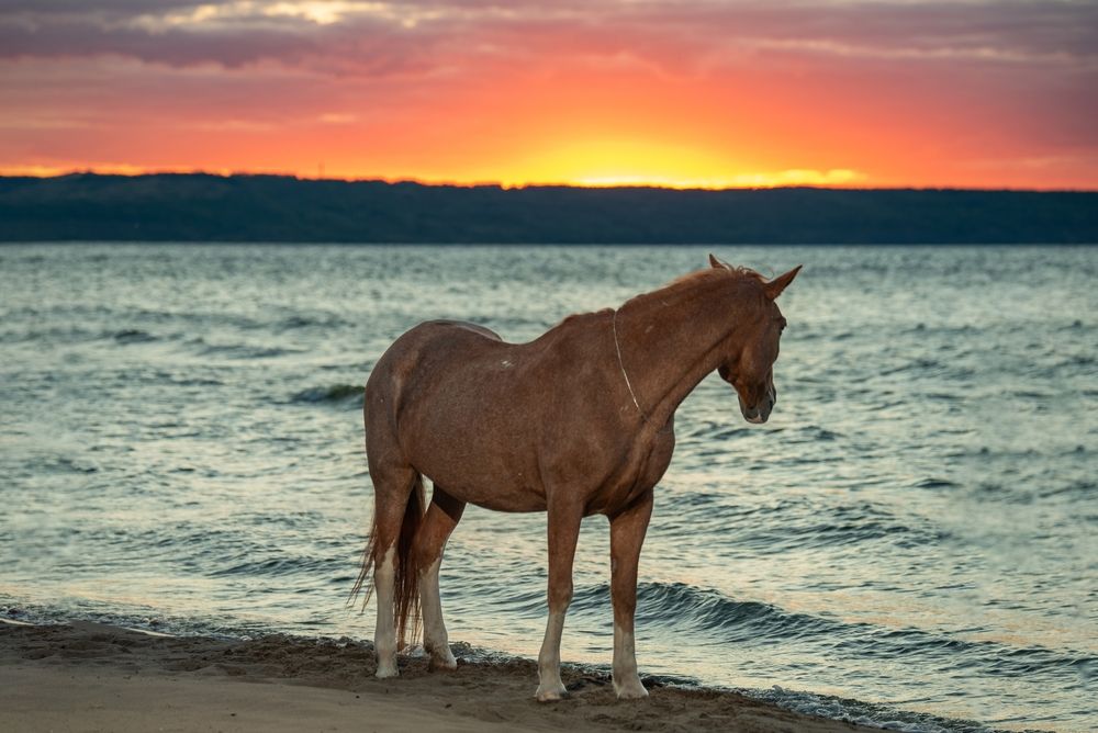 Photograph by Екатерина Эйрих
