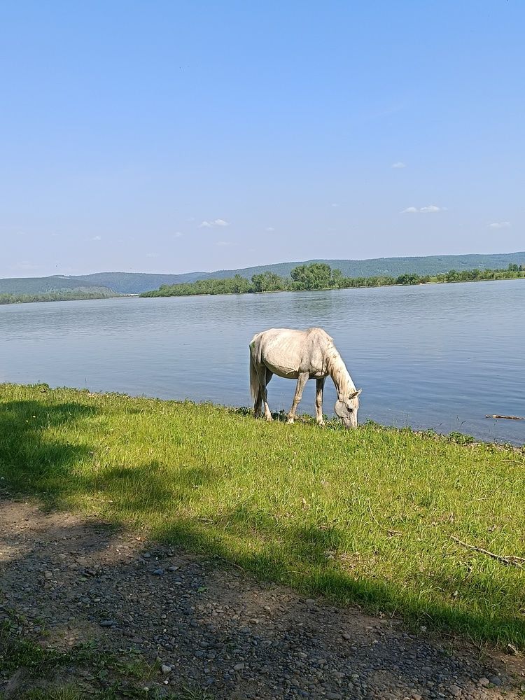 Photograph by Юлия Гагарина
