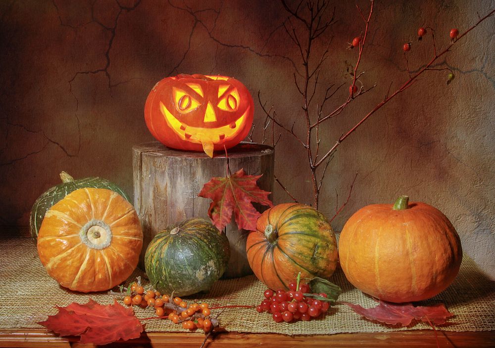 Фотография автора Татьяна Феденкова