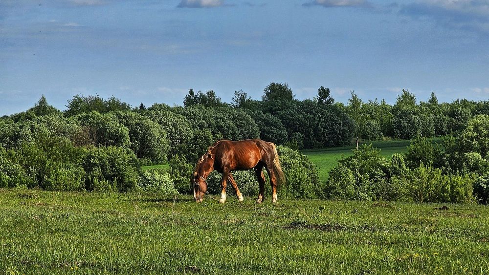 Photograph by Степан Макрушин