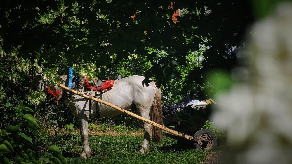 Photograph by Степан Макрушин