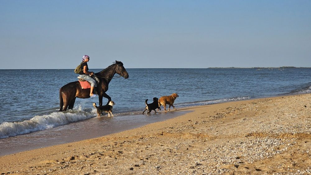 Photograph by Степан Макрушин