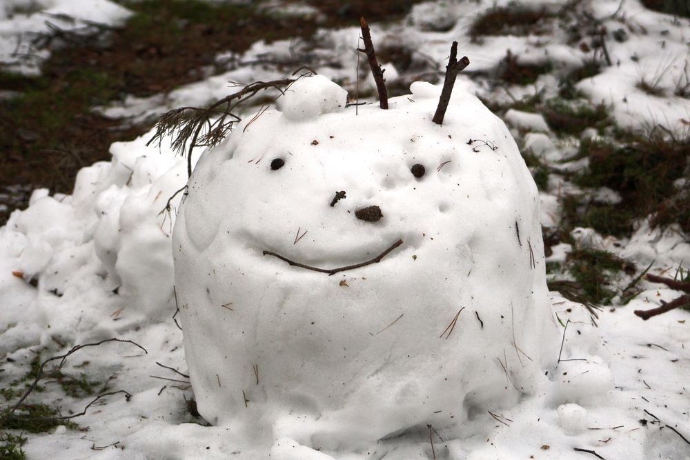 Photograph by Алексей Макаров