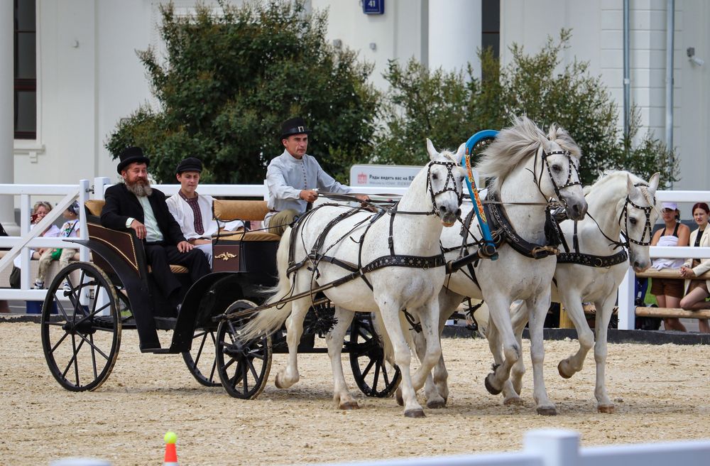 Фотография автора Воронина Татьяна