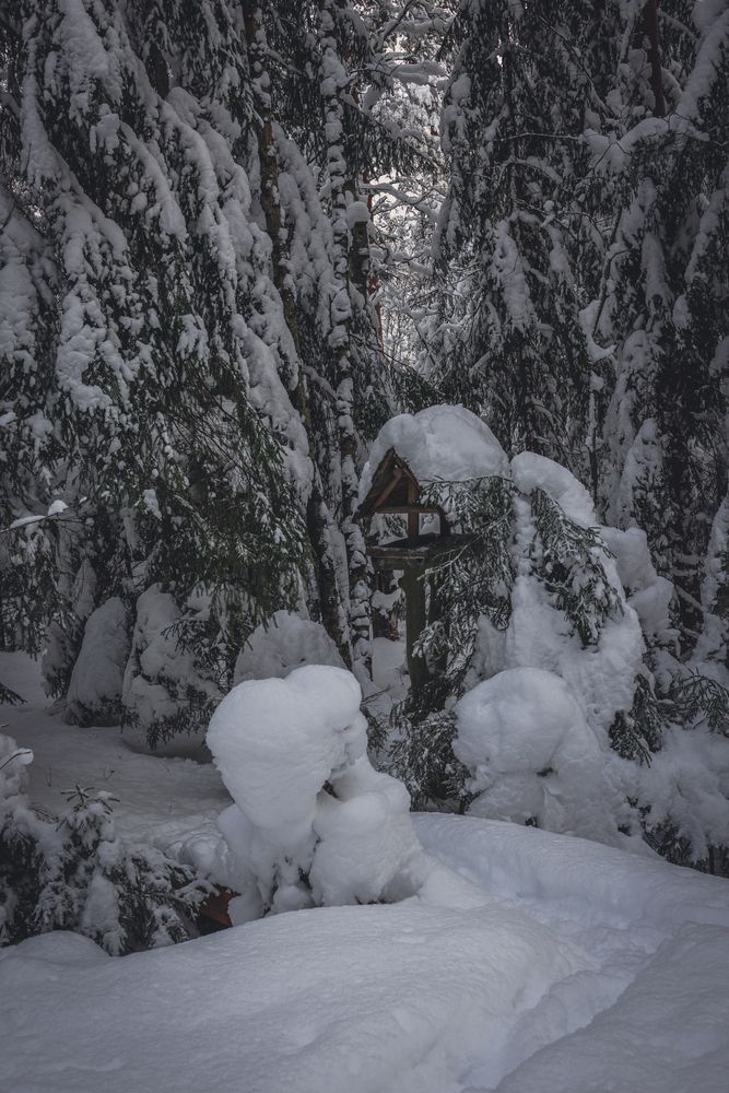 Фотография автора Дмитрий Катаругин