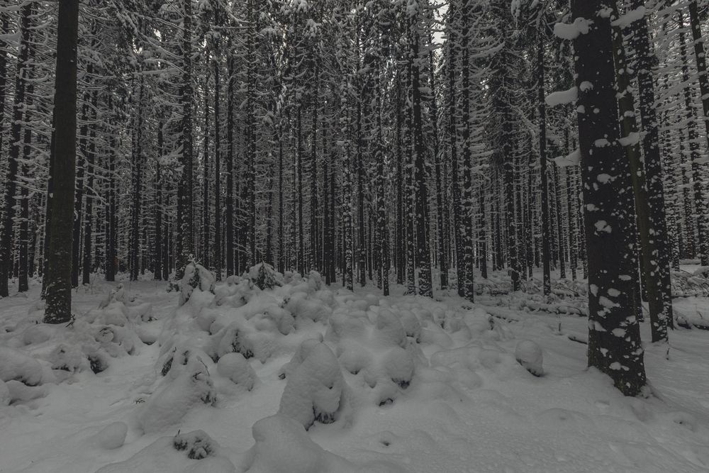Фотография автора Дмитрий Катаругин
