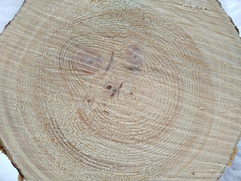 Photograph by Елена Алешкевич