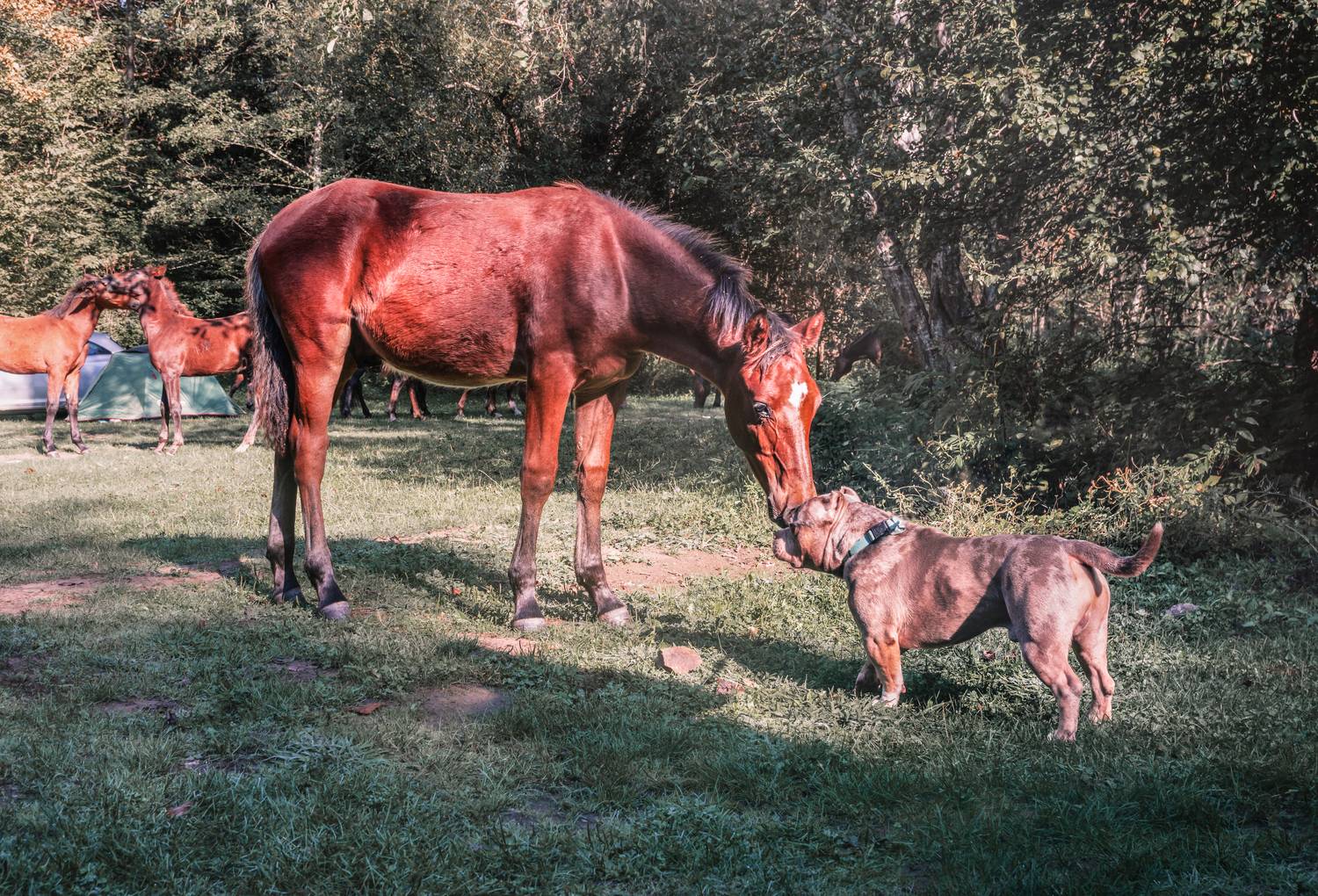 Фотография #13101551