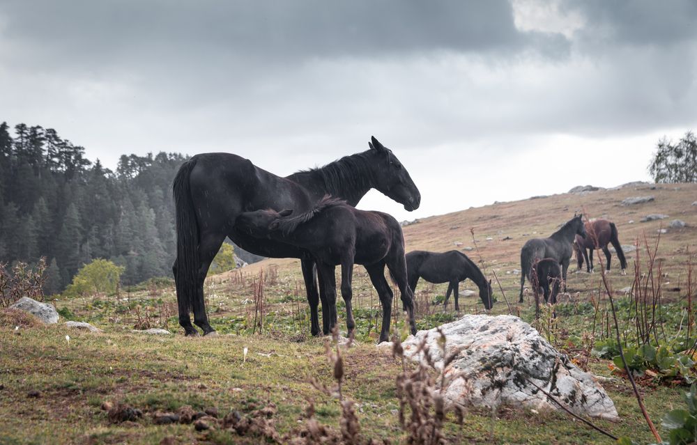 Photograph by Григорова Мария