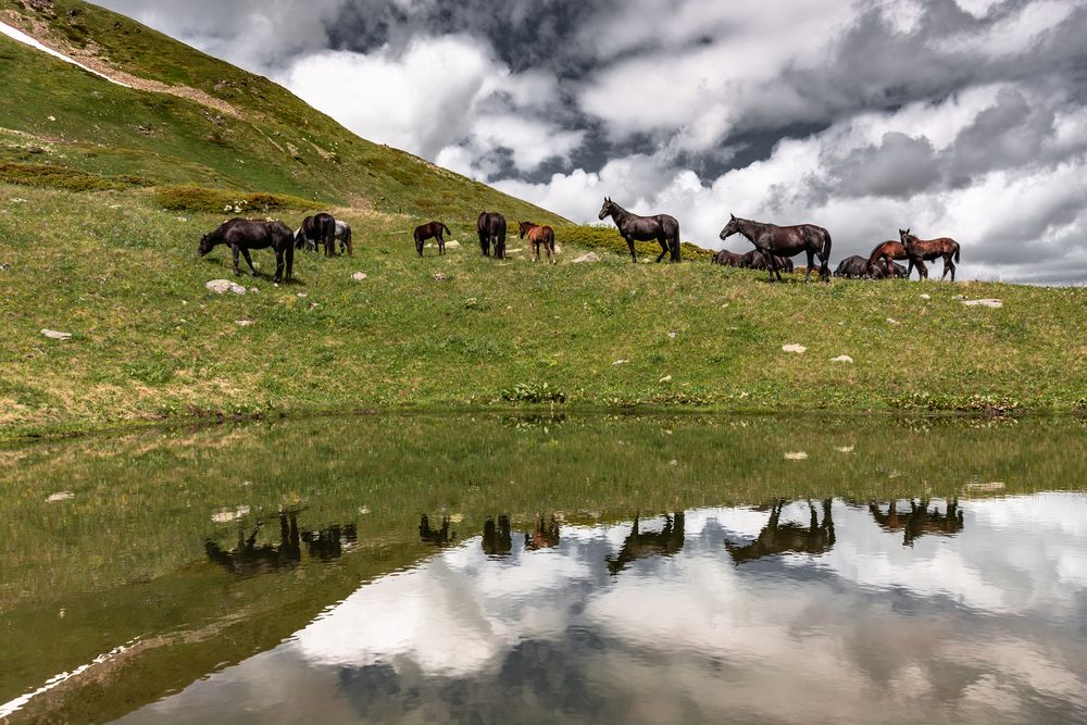 Photograph by Григорова Мария