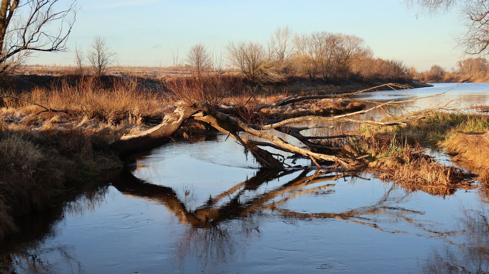 Photograph by Надежда Васильевна