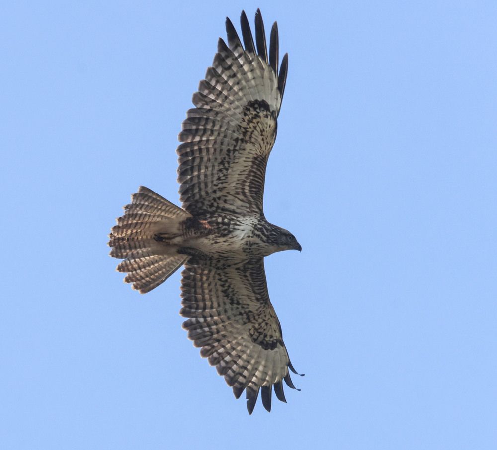 Photograph by Валентина Лопаткина