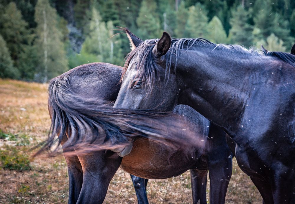 Photograph by Григорова Мария
