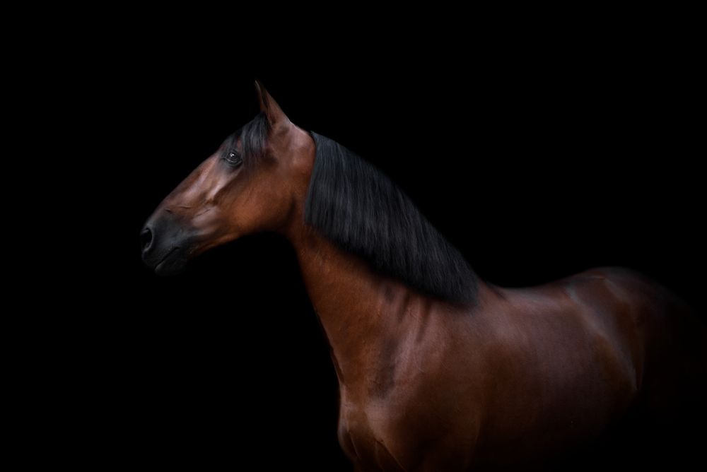 Photograph by Ana Sánchez