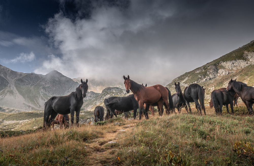 Photograph by Григорова Мария