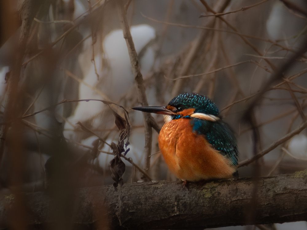 Photograph by Александр Щедрин