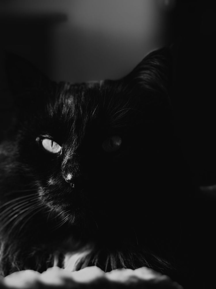 Photograph by Pavlova Maria