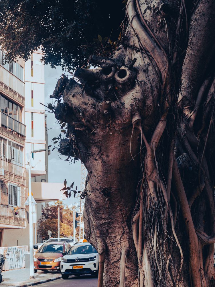 Photograph by Светлана Ханина