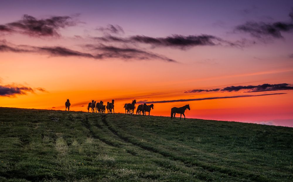 Photograph by Григорова Мария
