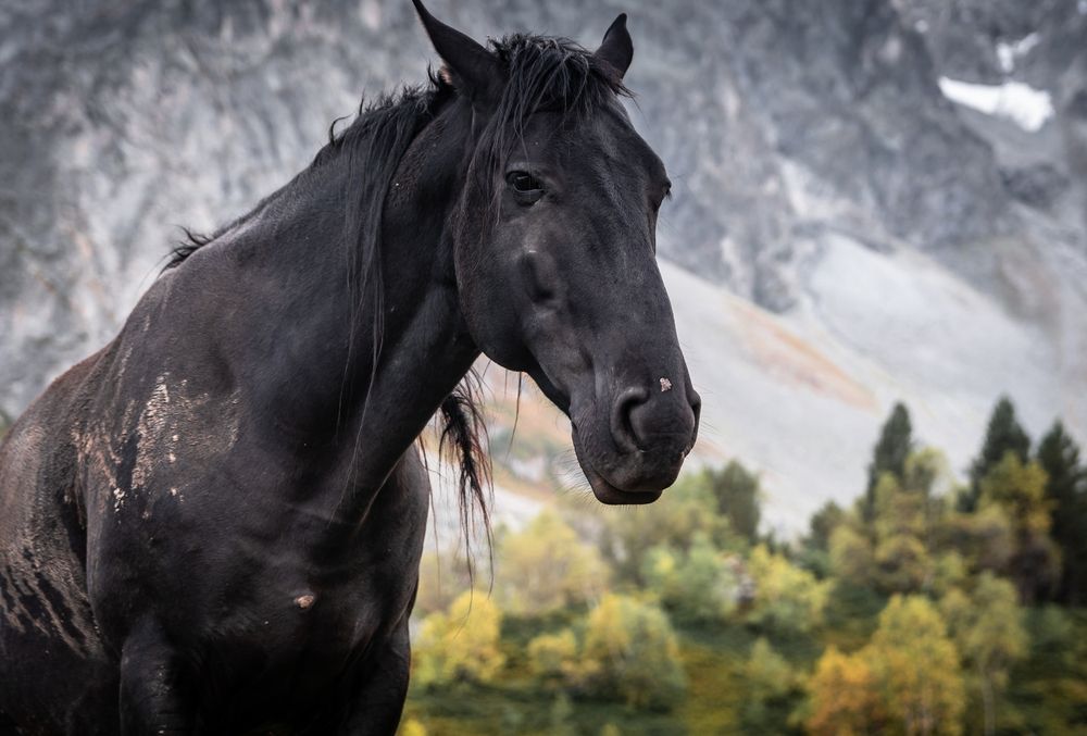 Photograph by Григорова Мария