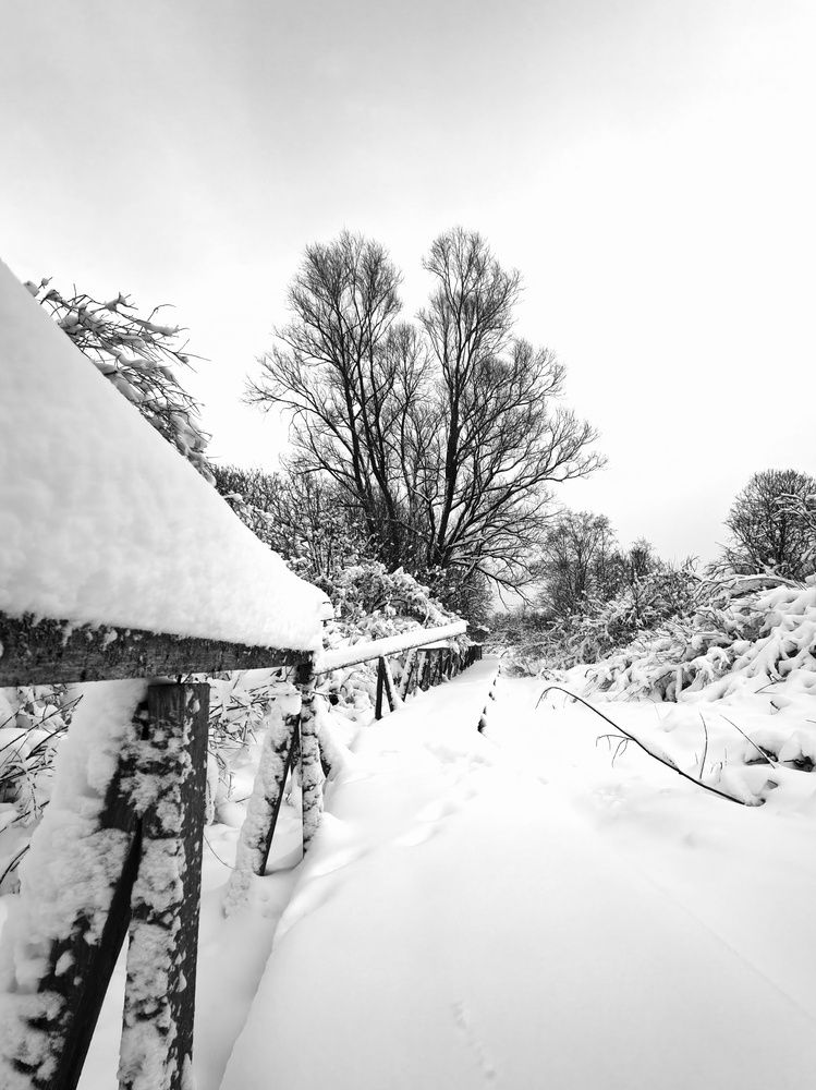 Photograph by Артем