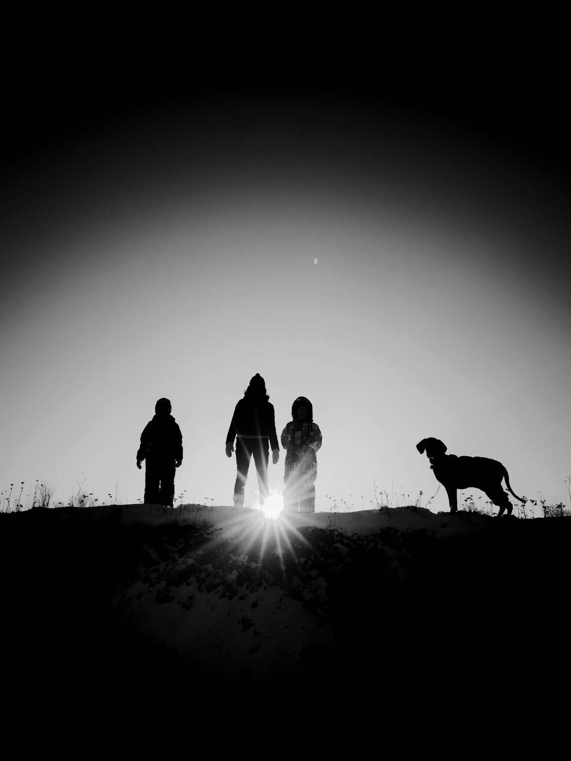 Photo #13101789
