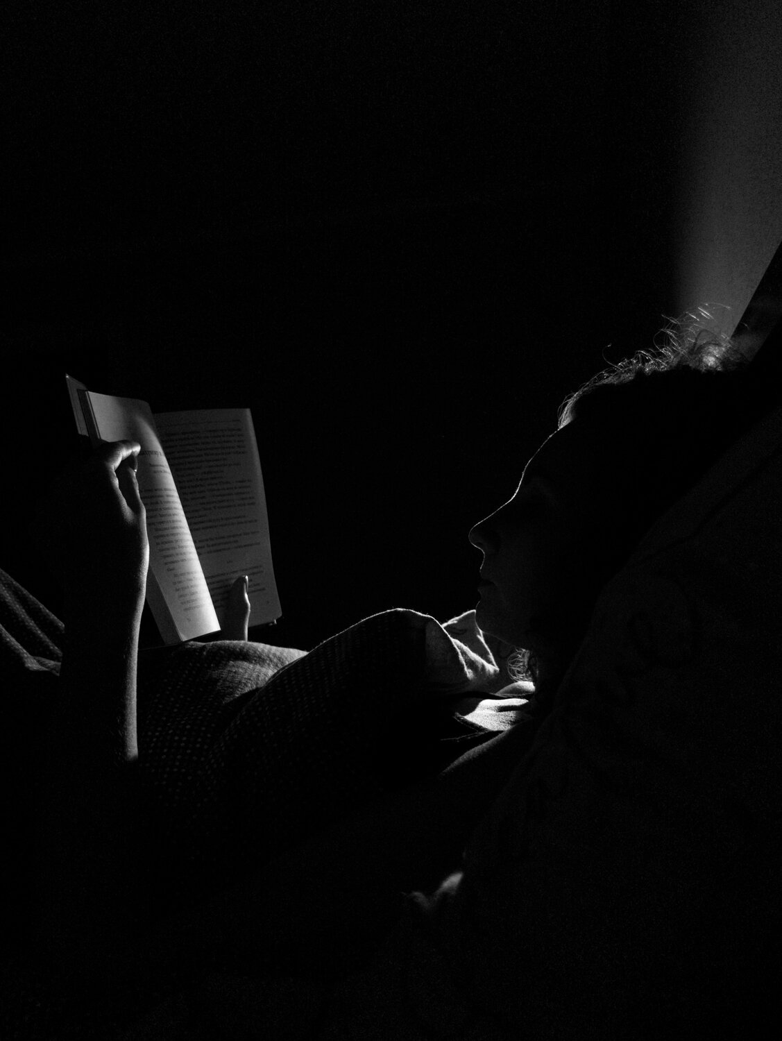 Photo #13101794