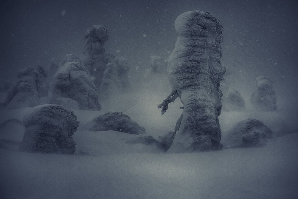 Photograph by Сергей Фомин