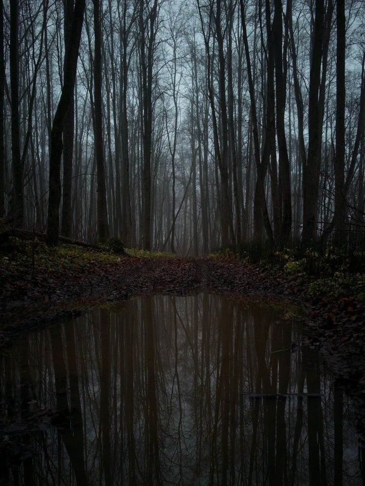 Photograph by Артем