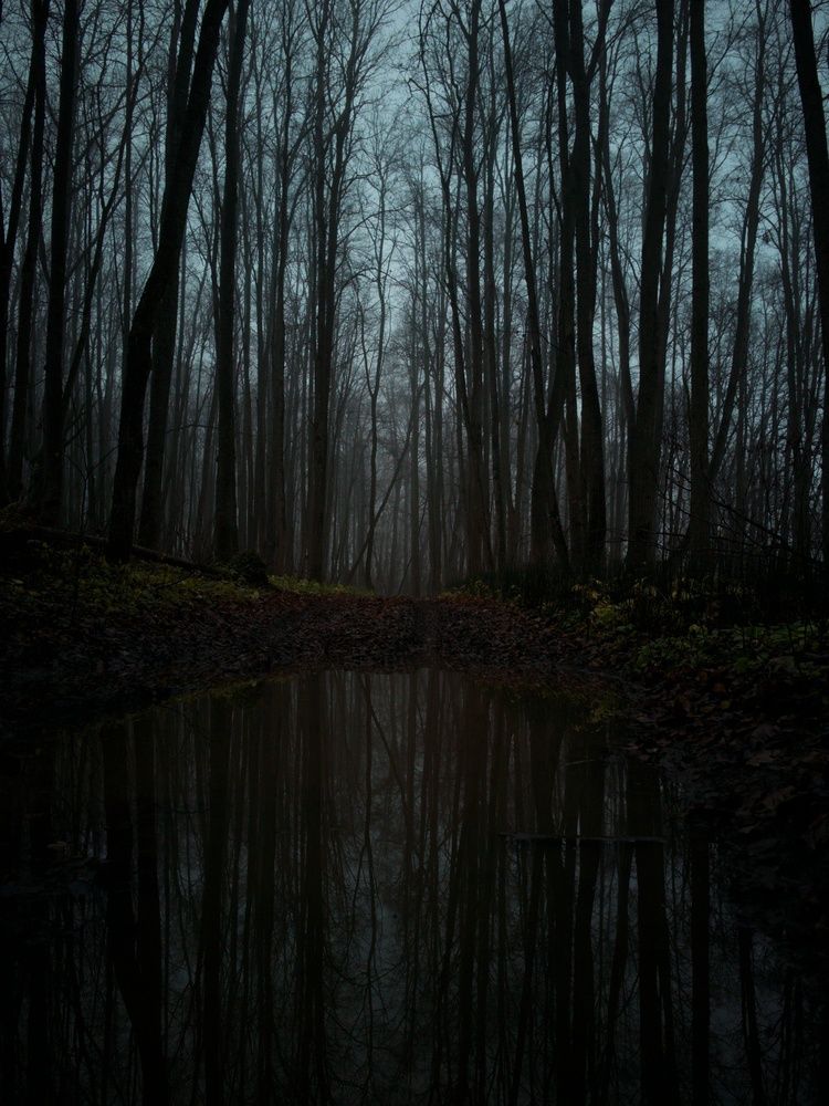 Photograph by Артем