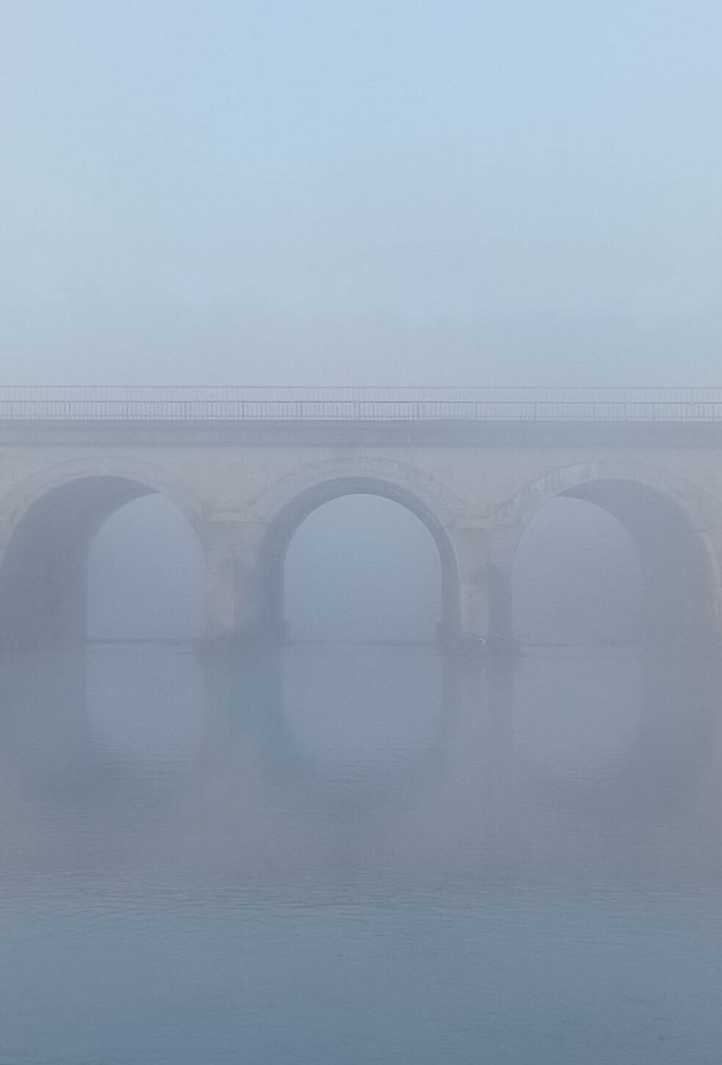 Фотография #13101834