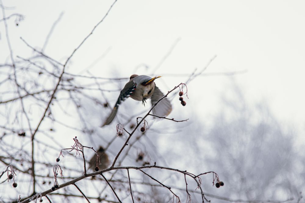 Photograph by Никита Павлов