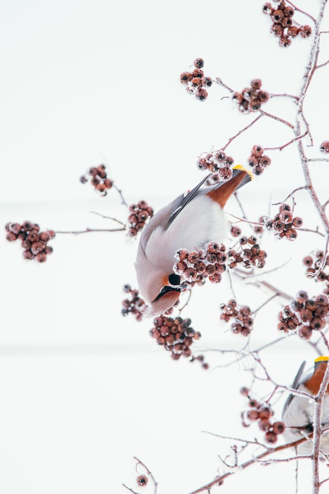 Photograph by Никита Павлов