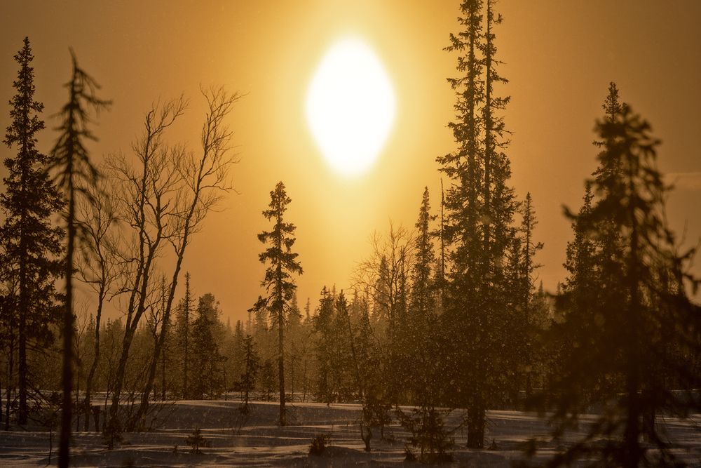 Photograph by Сергей Фомин