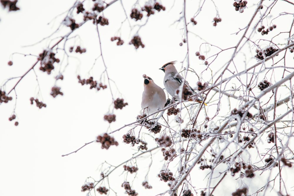 Photograph by Никита Павлов