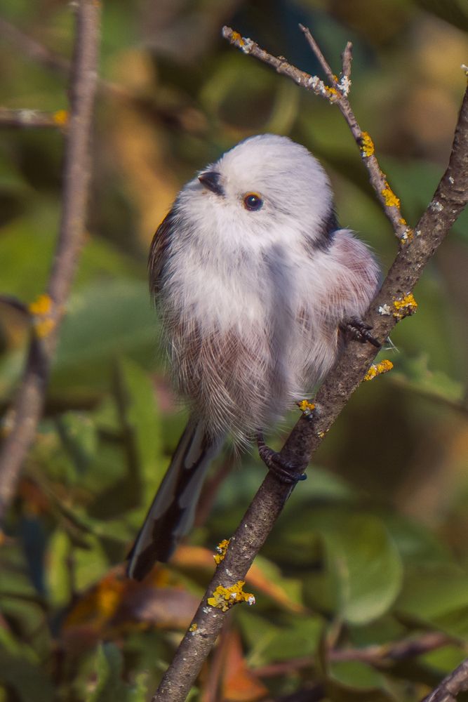 Photograph by Елена